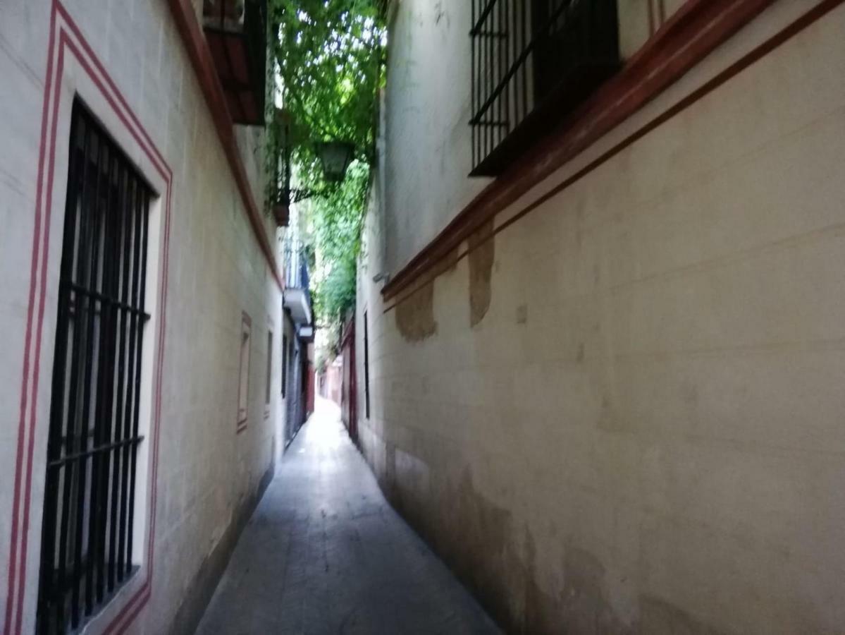 Apartamento En La Juderia De Sevilla Buitenkant foto